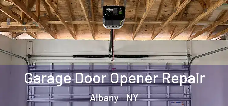  Garage Door Opener Repair Albany - NY