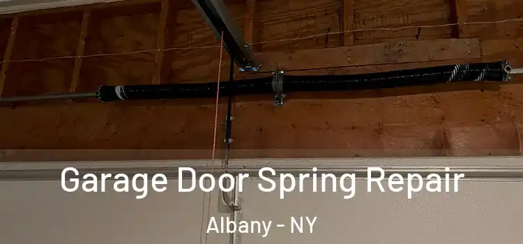  Garage Door Spring Repair Albany - NY